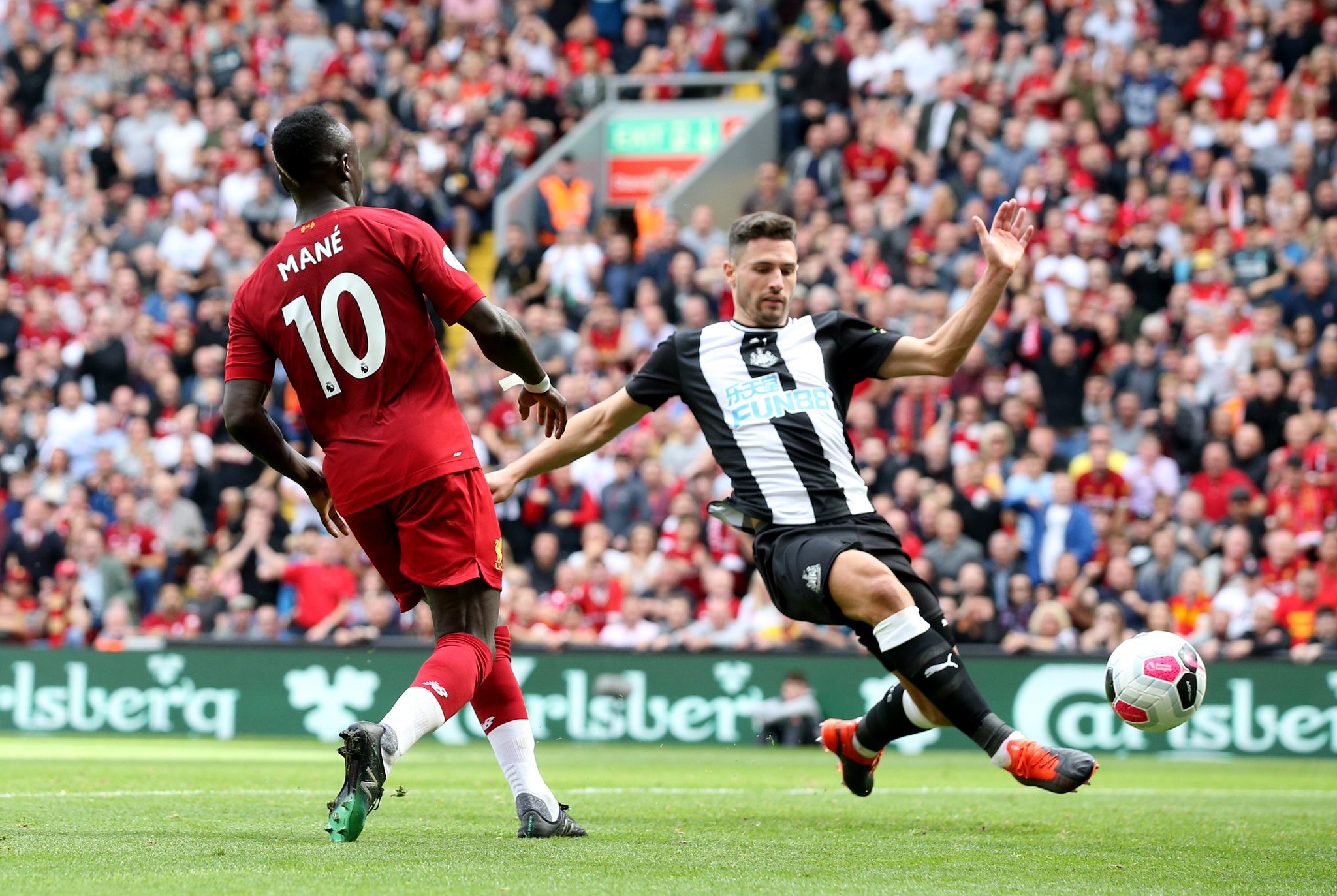 诺坎普的绿 诺坎普的绿